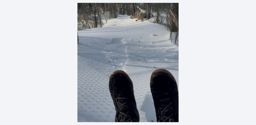 Snow-covered path with booted feet in the foreground.